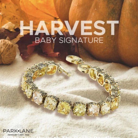 Park Lane Baby Signature Harvest Bracelet – BNWT!! - Picture 6 of 7